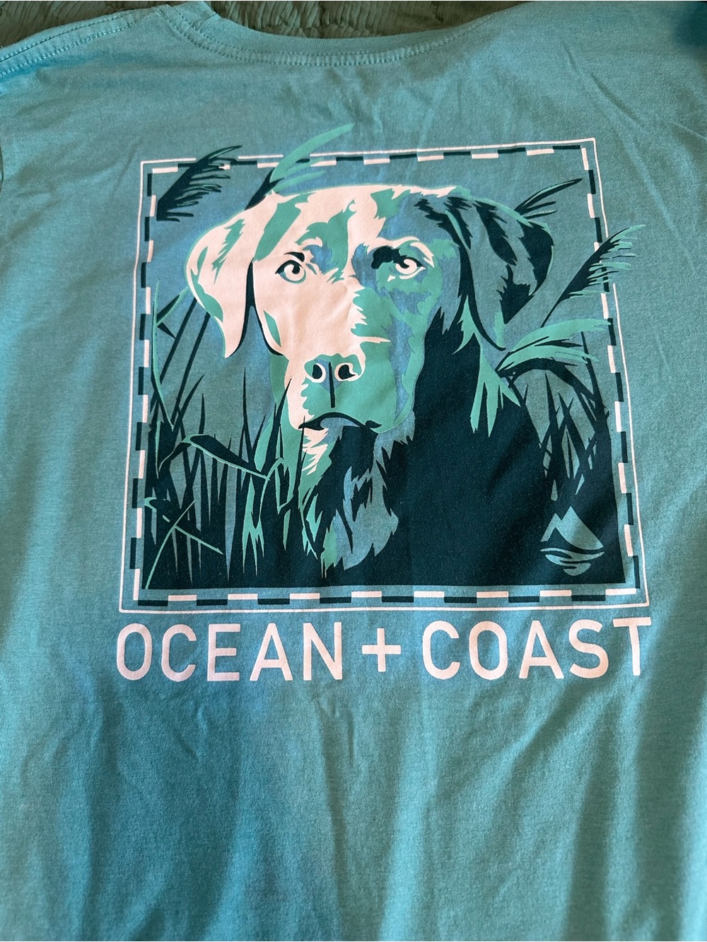 Ocean + Coast Teal Dog Graphic Short Sleeve Tee - Men's